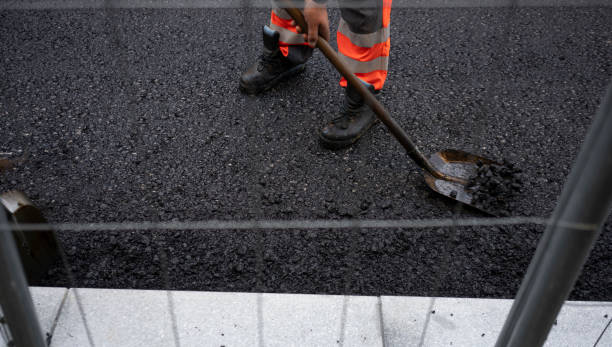 Best Recycled Asphalt Driveway Installation  in Jacinto City, TX