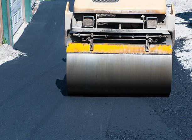 Best Driveway Crack Filling  in Jacinto City, TX